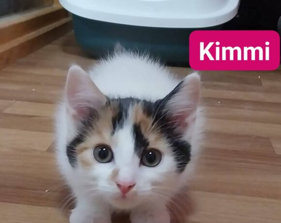 Kimmi & Karl ❤️