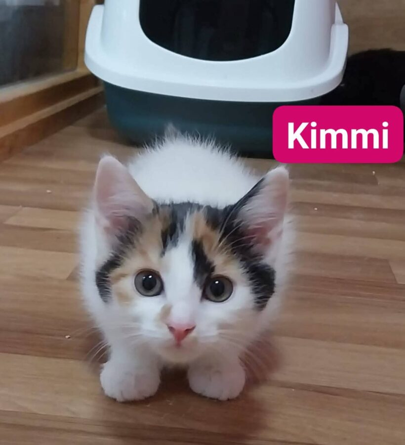 Kimmi & Karl ❤️