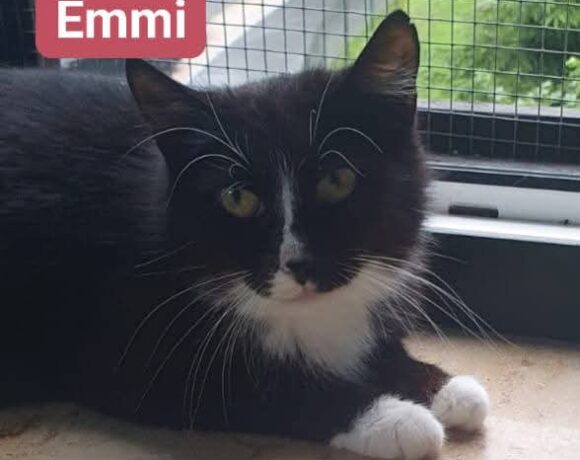 Emmi🩷👸🏻