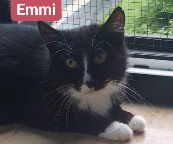 Emmi🩷👸🏻 Emmi🩷👸🏻