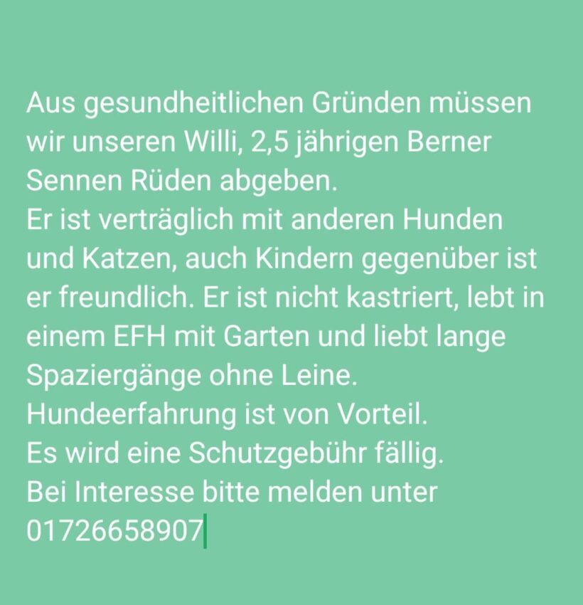 Willi❤️