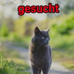 Futterstellen gesucht❣️