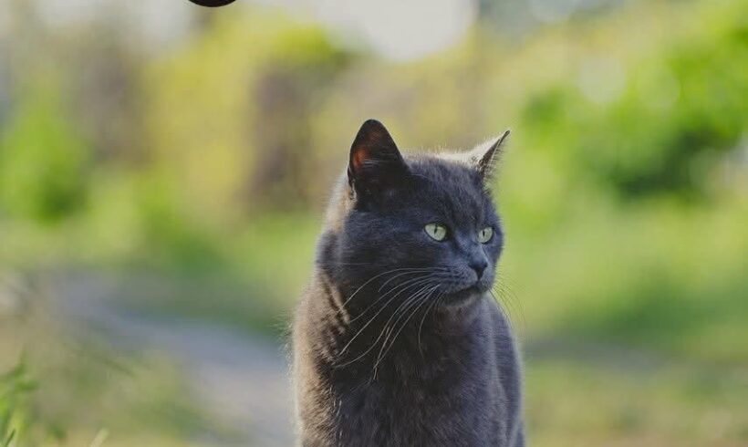 Futterstellen gesucht❣️