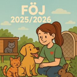 FÖJ 25/26