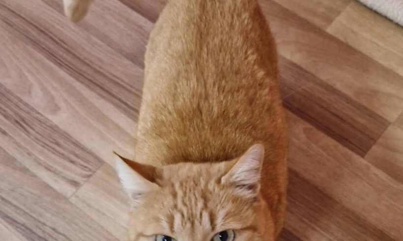 July❤️ July❤️