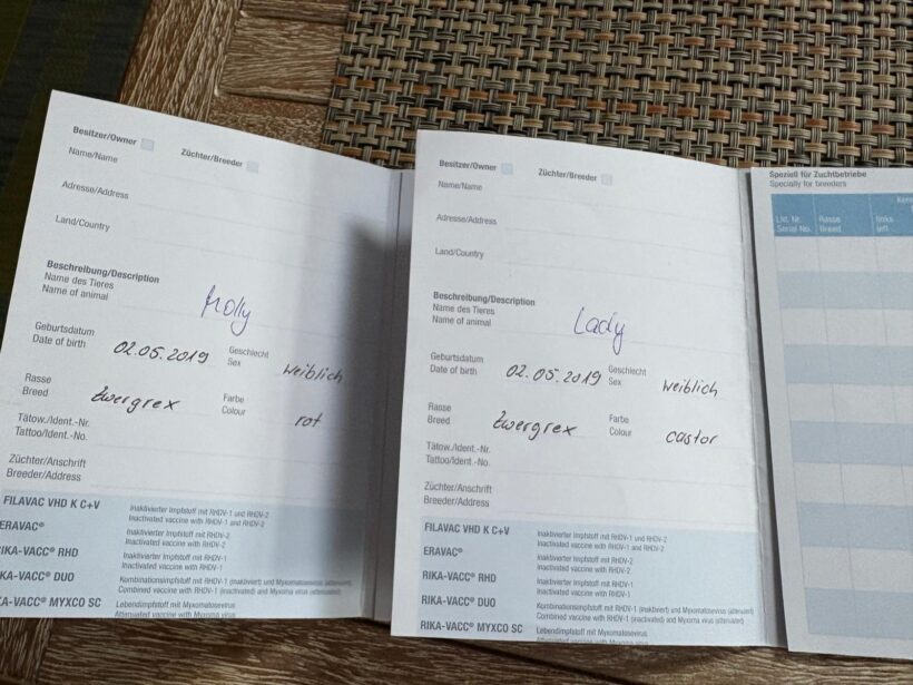 Lady und Molly❤️ Lady und Molly❤️