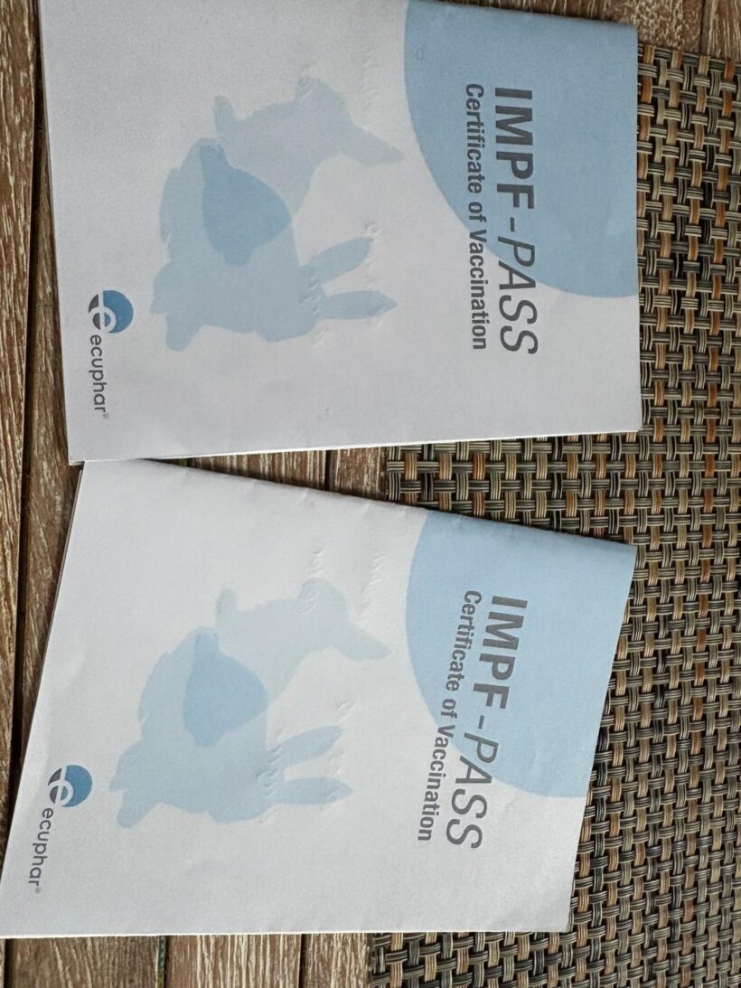 Lady und Molly❤️ Lady und Molly❤️