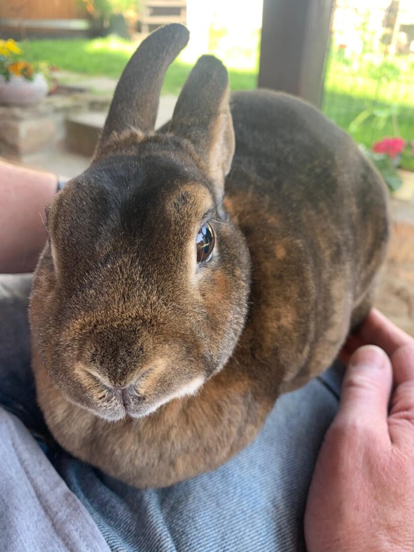 Lady und Molly❤️ Lady und Molly❤️