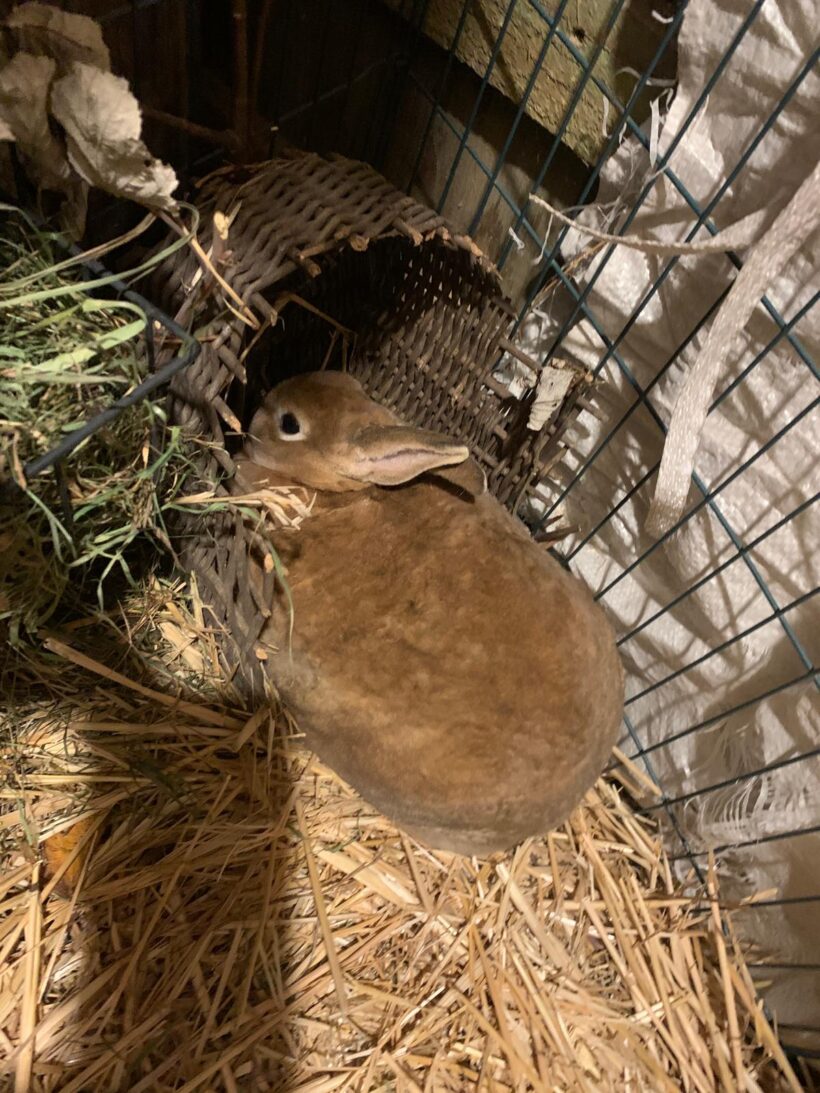 Lady und Molly❤️ Lady und Molly❤️