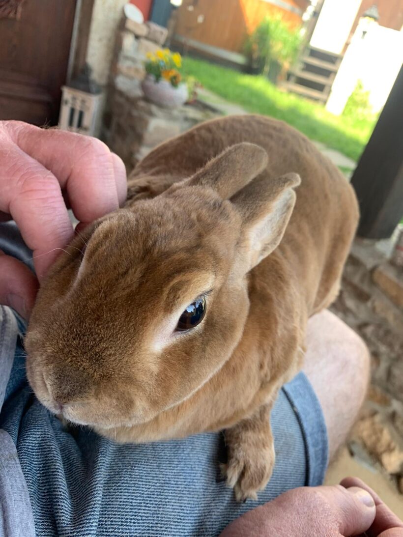 Lady und Molly❤️ Lady und Molly❤️