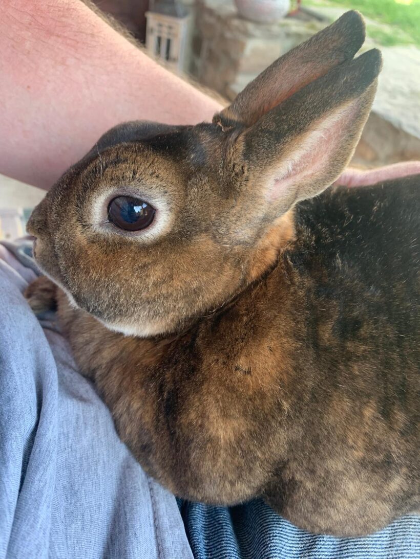 Lady und Molly❤️ Lady und Molly❤️