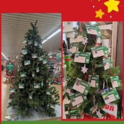 Weihnachtsbaum-Spendenaktion ’25🌲❤️