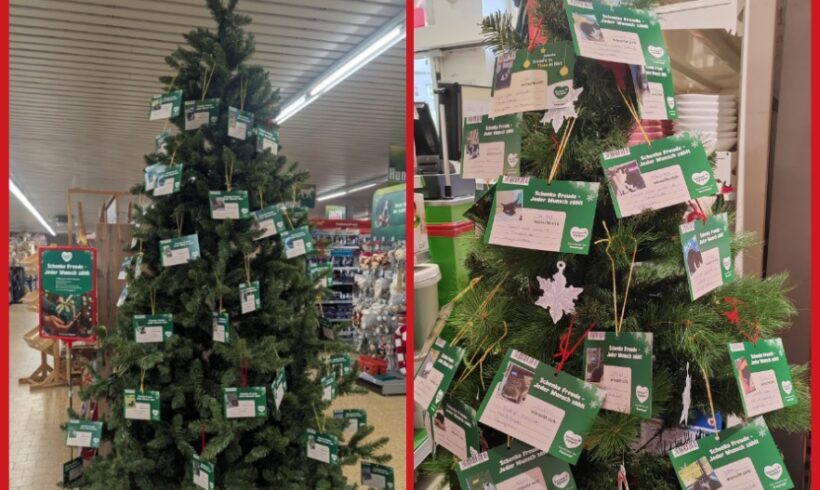 Weihnachtsbaum-Spendenaktion ’25🌲❤️ Weihnachtsbaum-Spendenaktion ’25🌲❤️