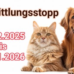 Vermittlungsstopp