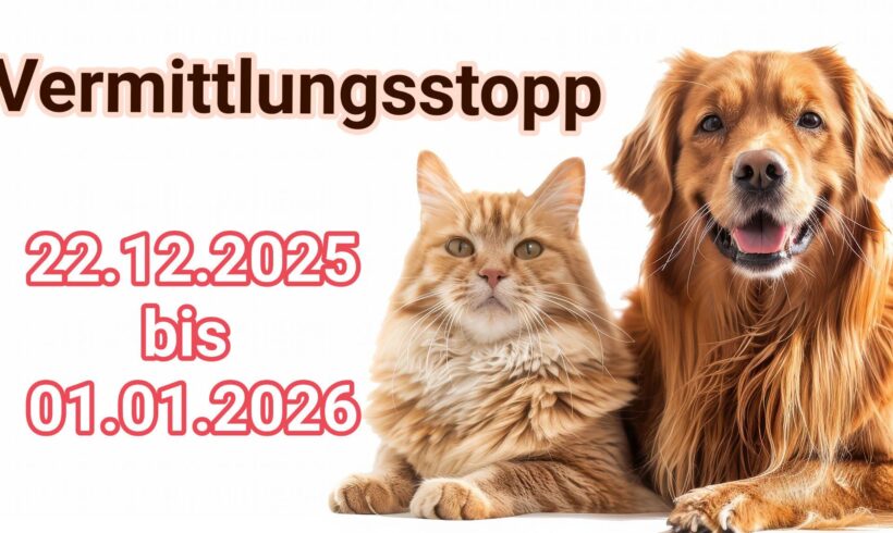 Vermittlungsstopp Vermittlungsstopp