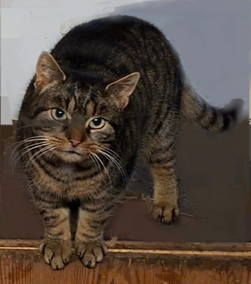 Käthe wird vermisst ❣️ Käthe wird vermisst ❣️