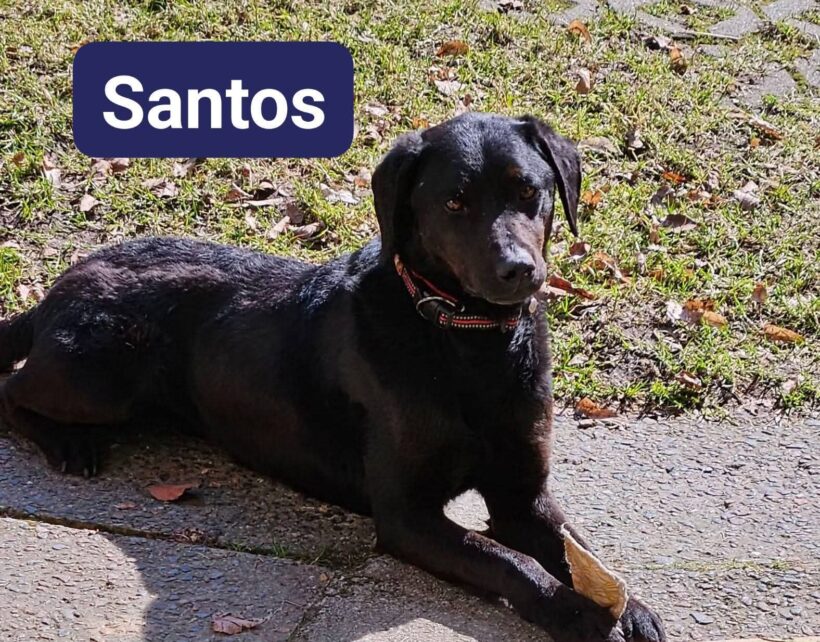 Santos❤️ Santos❤️
