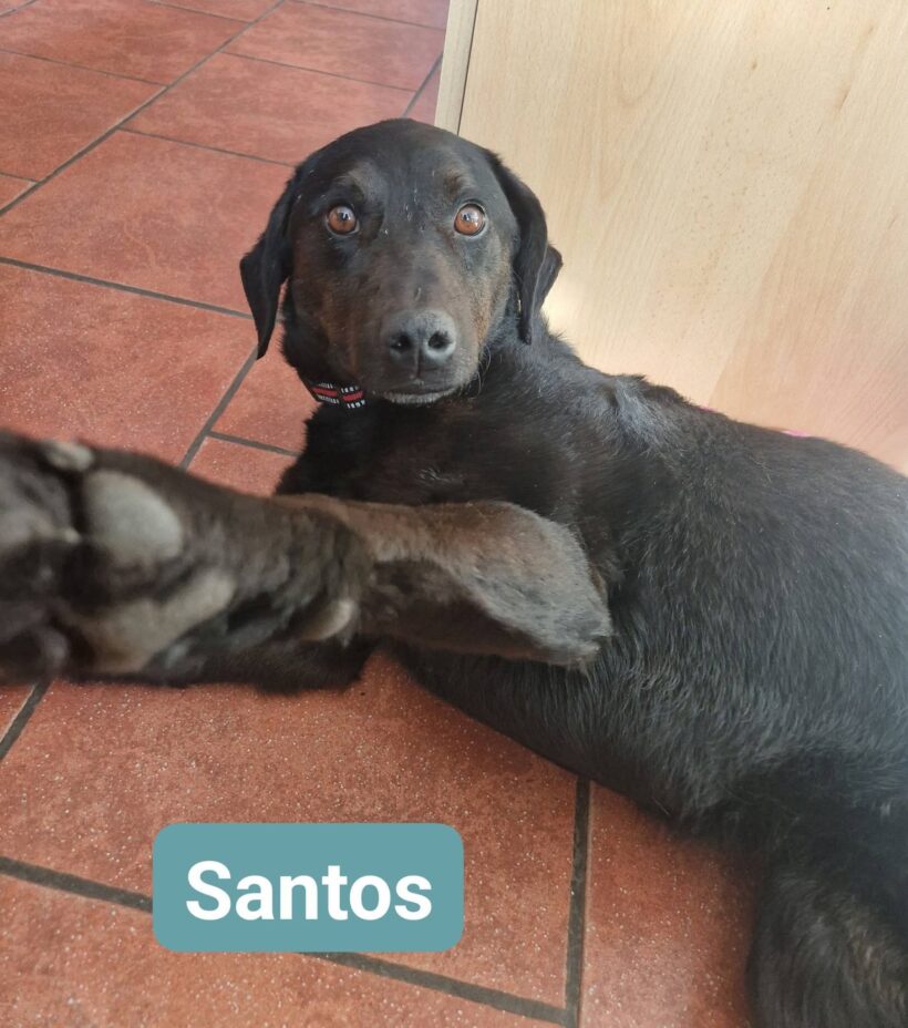 Santos❤️ Santos❤️