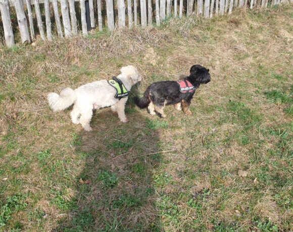Barny, Lery, Schekky, Fridolin❣️