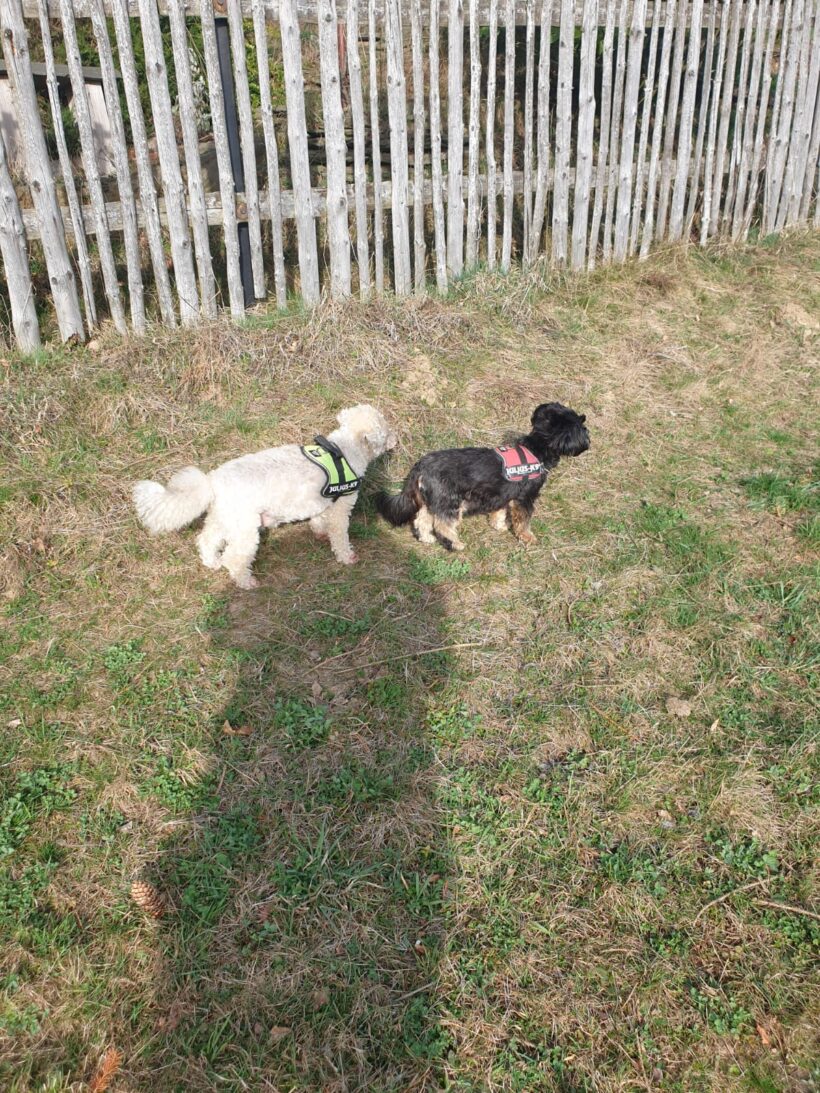 Barny, Lery, Schekky, Fridolin❣️ Barny, Lery, Schekky, Fridolin❣️