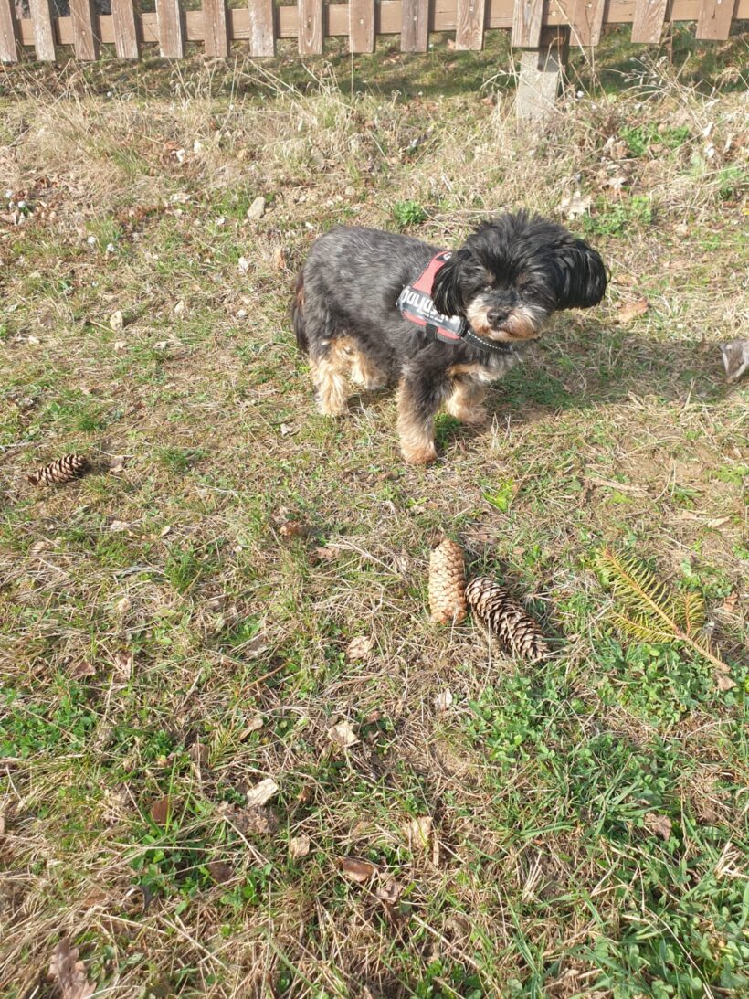 Barny, Lery, Schekky, Fridolin❣️ Barny, Lery, Schekky, Fridolin❣️