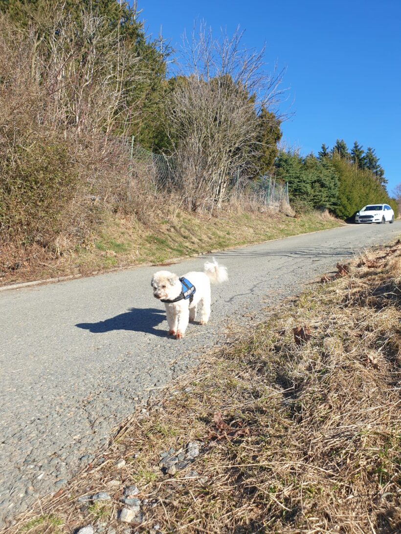 Barny, Lery, Schekky, Fridolin❣️ Barny, Lery, Schekky, Fridolin❣️