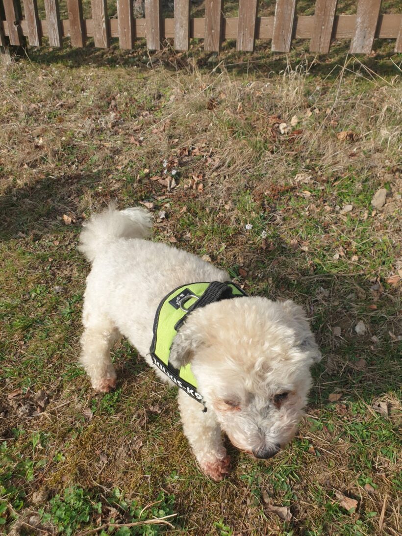 Barny, Lery, Schekky, Fridolin❣️ Barny, Lery, Schekky, Fridolin❣️