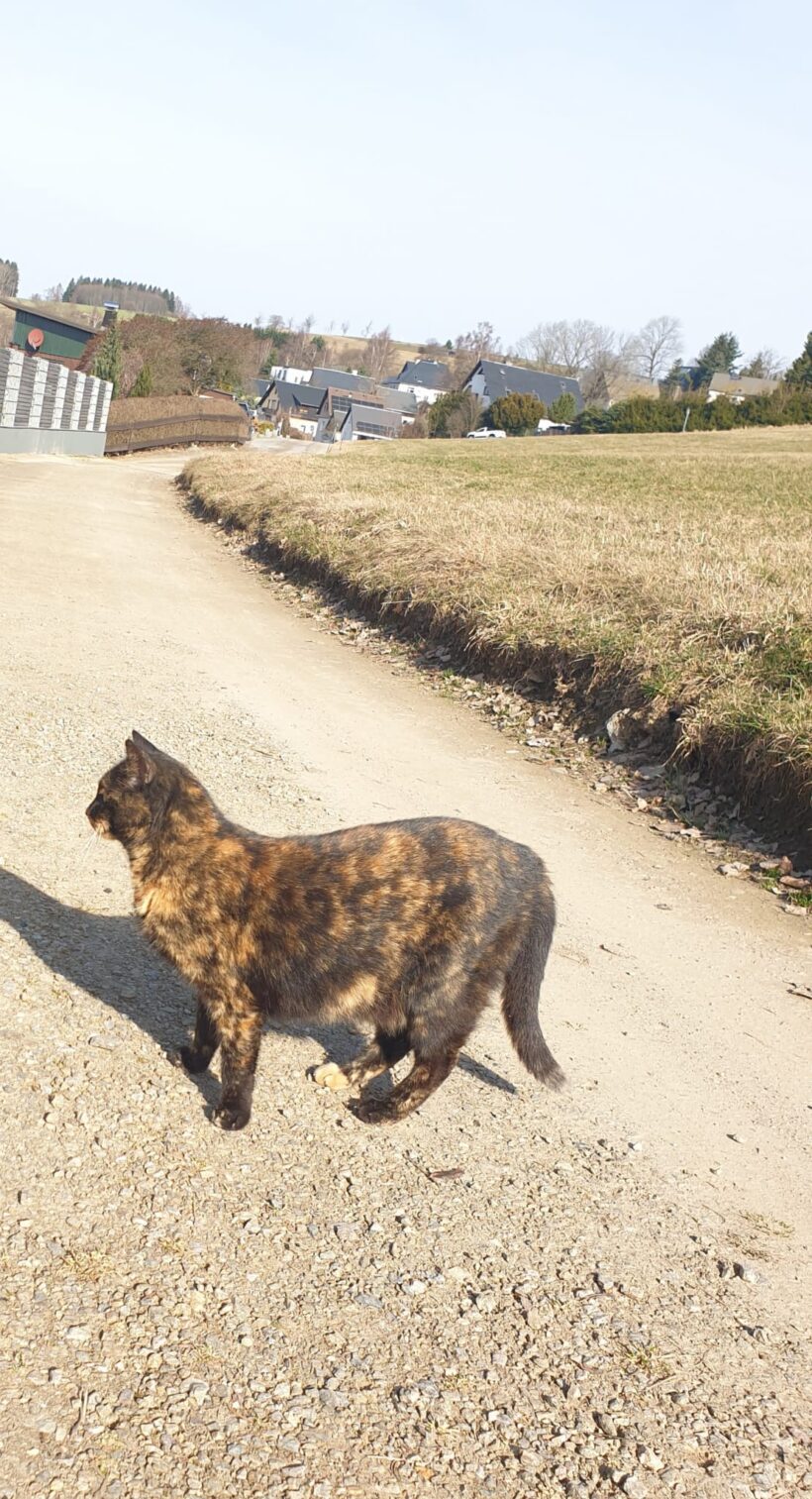 Barny, Lery, Schekky, Fridolin❣️ Barny, Lery, Schekky, Fridolin❣️