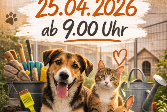 Arbeitseinsatz ’26