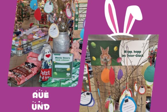 Osterwunschaktion ’26🐇🌸