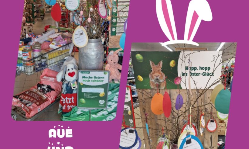 Osterwunschaktion ’26🐇🌸