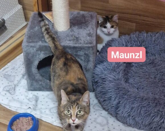Cora und Maunzl ab Mitte April❤️