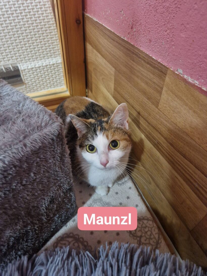 Cora und Maunzl ab Mitte April❤️