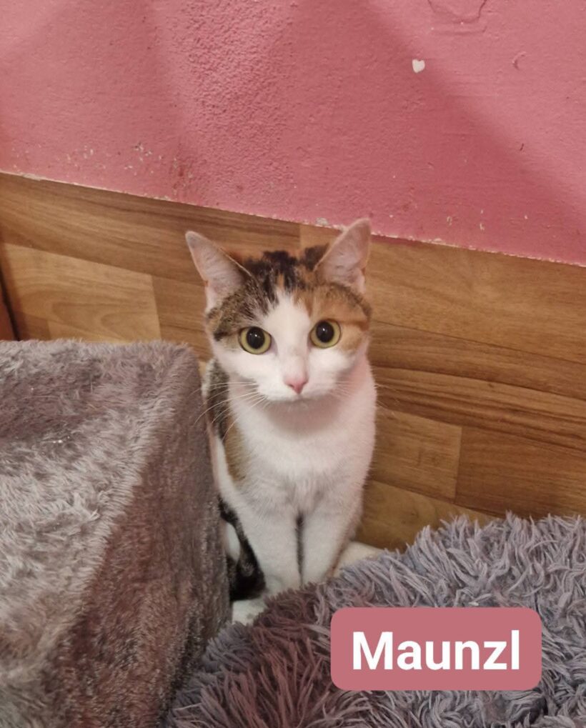 Cora und Maunzl ab Mitte April❤️