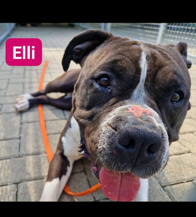 Elli❤️