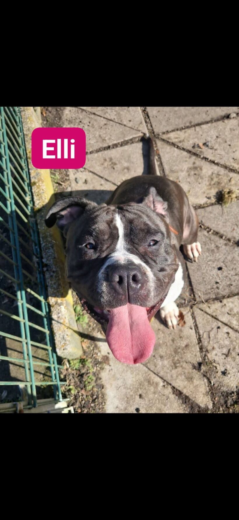 Elli❤️