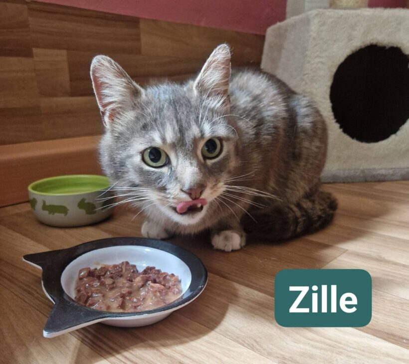 Zille❤️