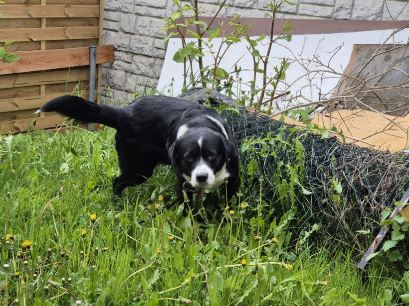 Cooper❣️