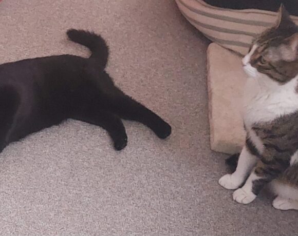 Naomi und George❣️