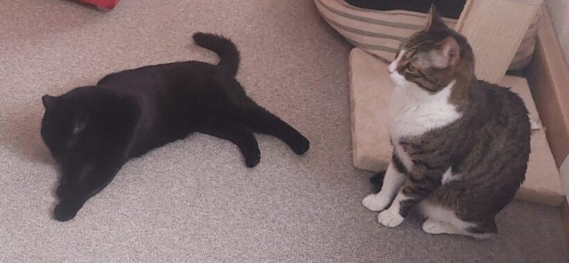 Naomi und George❣️ Naomi und George❣️