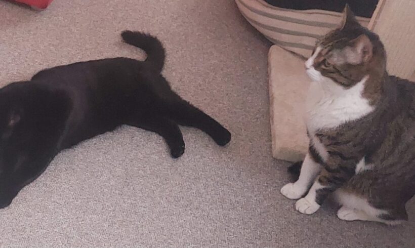 Naomi und George❣️ Naomi und George❣️
