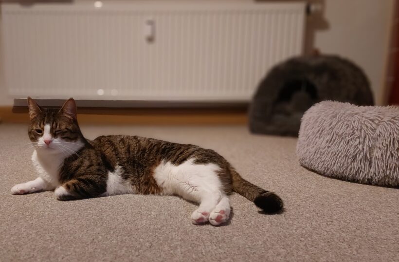 Naomi und George❣️ Naomi und George❣️