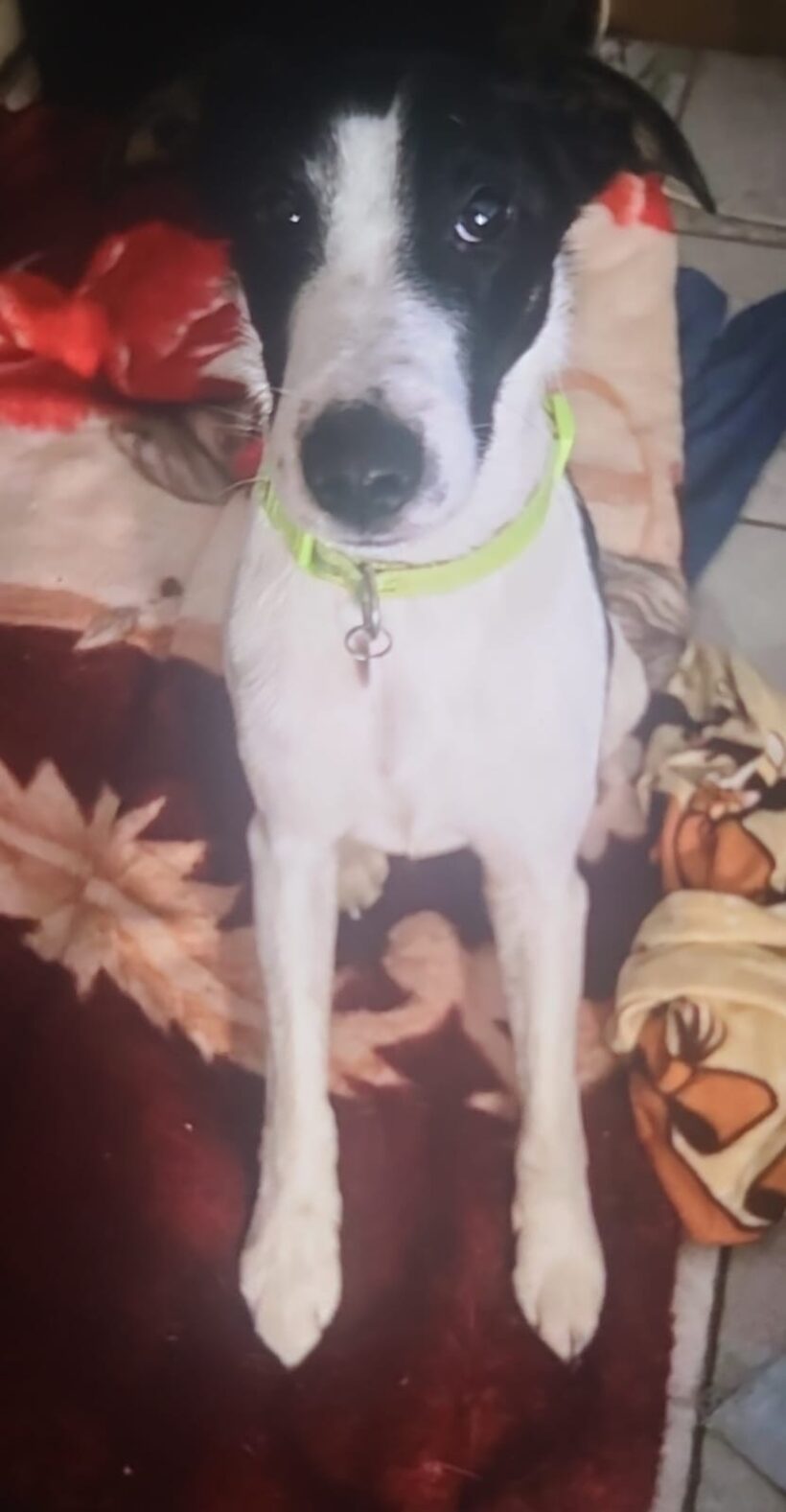 Bronko❤️ Bronko❤️