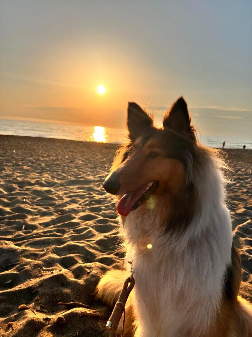 Vida❤️ Vida❤️