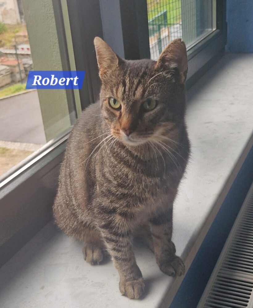 Robert❤️