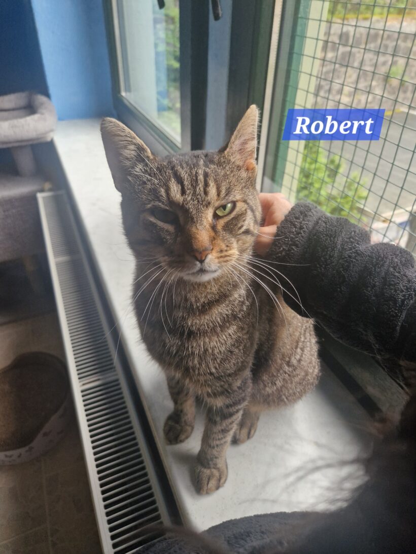 Robert❤️