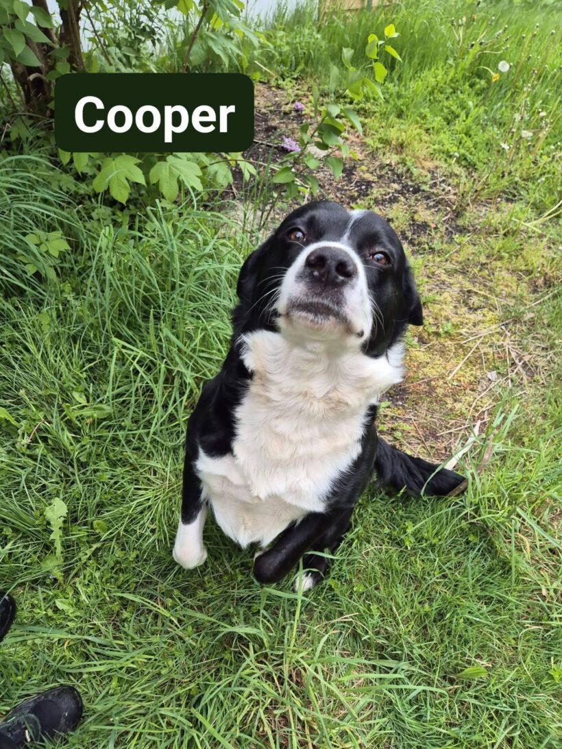 Cooper❤️ Cooper❤️