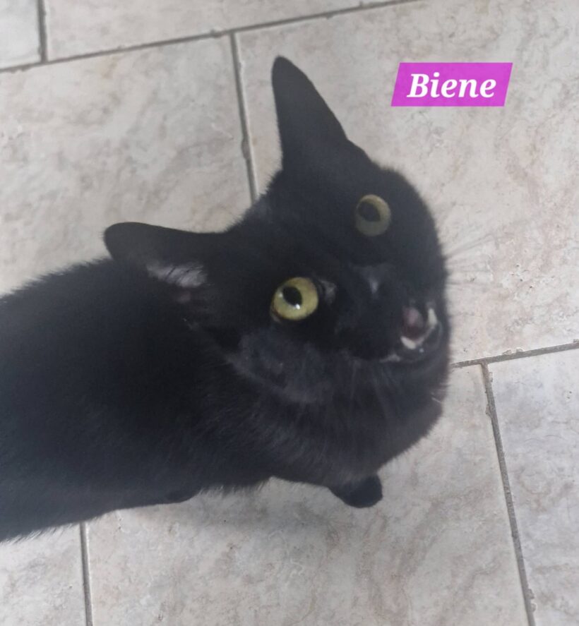 Biene und Maja❤️