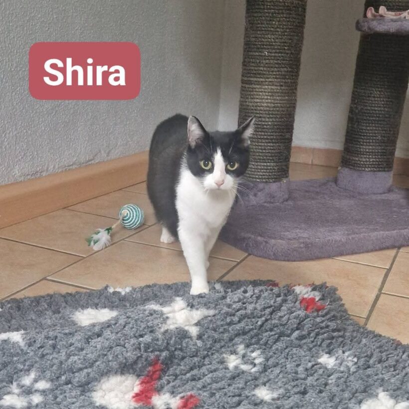 Rosi und Shira❤️ Rosi und Shira❤️