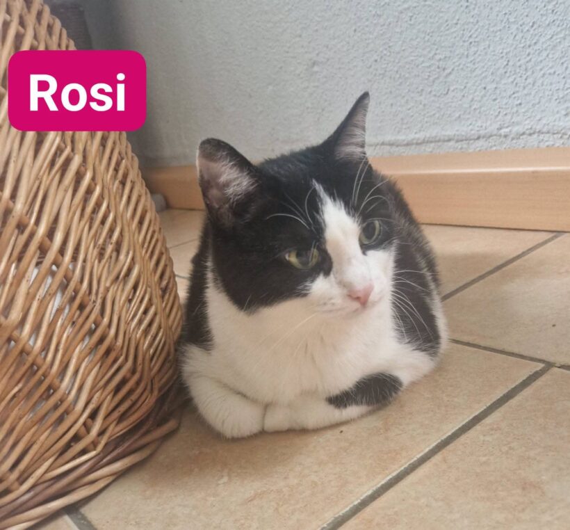 Rosi und Shira❤️ Rosi und Shira❤️